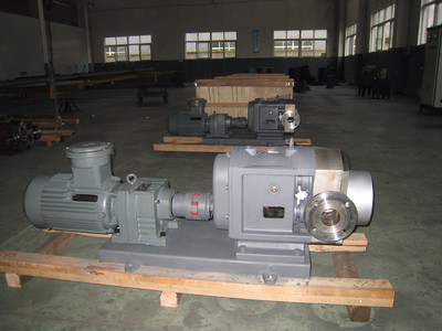 普利施65PLST6-10 日用化工轉子泵,甘油、化妝品料漿輸送泵 價格優惠歡迎咨詢圖片_高清圖_細節圖-江蘇普利施泵業 -